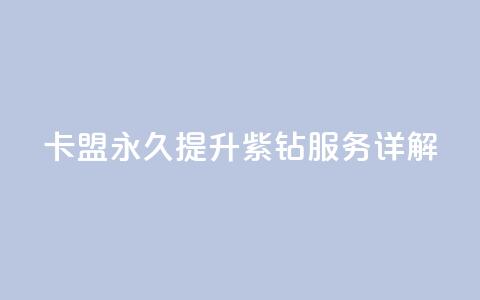 卡盟永久提升紫钻服务详解 第1张 卡盟永久提升紫钻服务详解 第1张