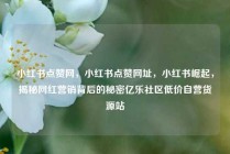 小红书点赞网，小红书点赞网址，小红书崛起，揭秘网红营销背后的秘密亿乐社区低价自营货源站