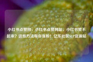 小红书点赞网，小红书点赞网址，小红书赞不起来？这些方法帮你涨粉！亿乐社区SUP货源站