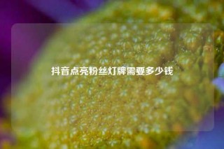 抖音点亮粉丝灯牌需要多少钱