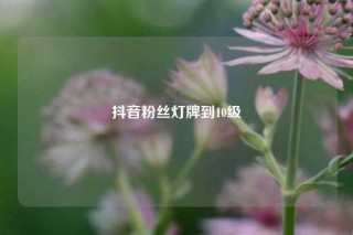 抖音粉丝灯牌到10级