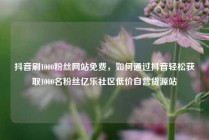 抖音刷1000粉丝网站免费，如何通过抖音轻松获取1000名粉丝亿乐社区低价自营货源站